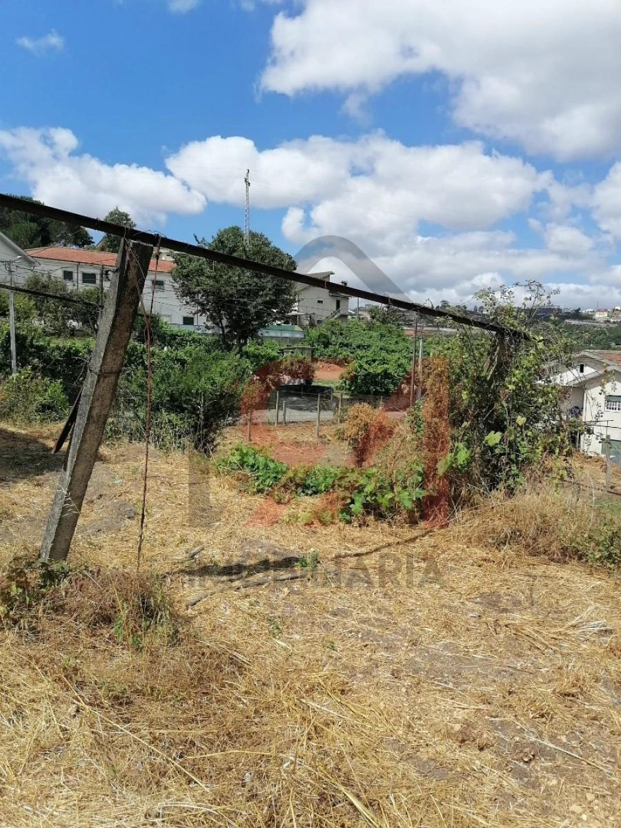 Terreno para Venda em Figueiras e Covas Foto 4