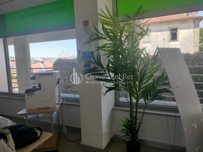 Loja para Arrendamento em Viseu Foto 23