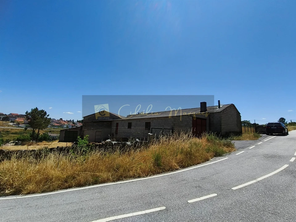 Negócio para Venda em Aguiar da Beira e Coruche Foto 9
