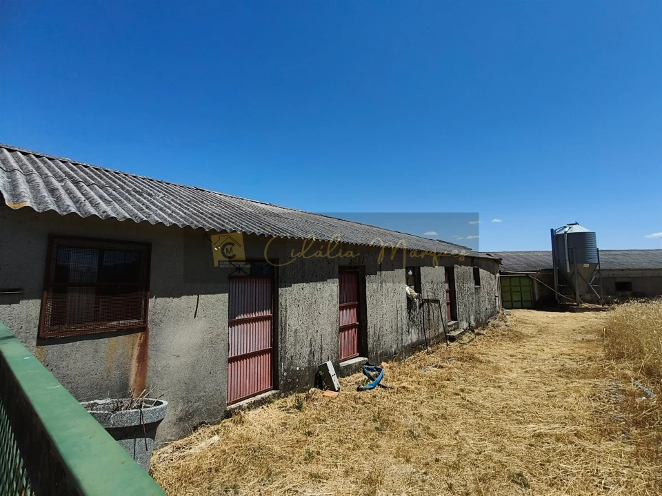 Negócio para Venda em Aguiar da Beira e Coruche Foto 5