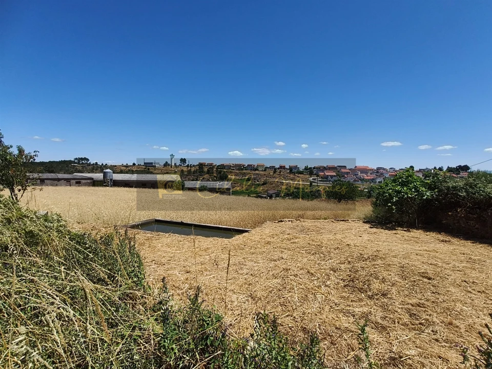 Negócio para Venda em Aguiar da Beira e Coruche Foto 3