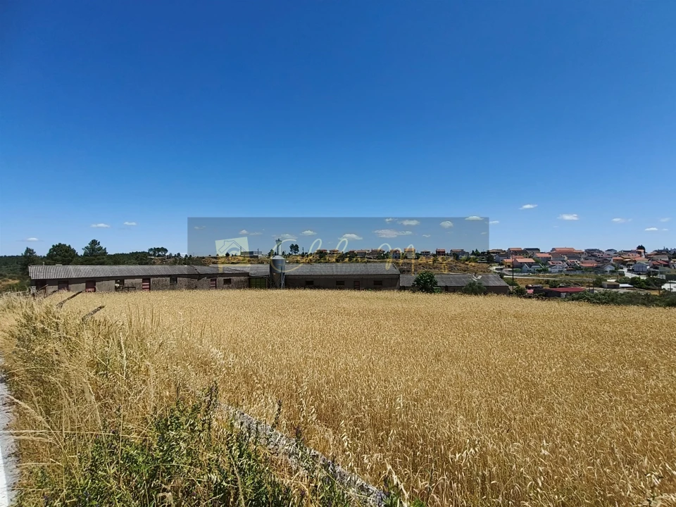 Negócio para Venda em Aguiar da Beira e Coruche Foto 2
