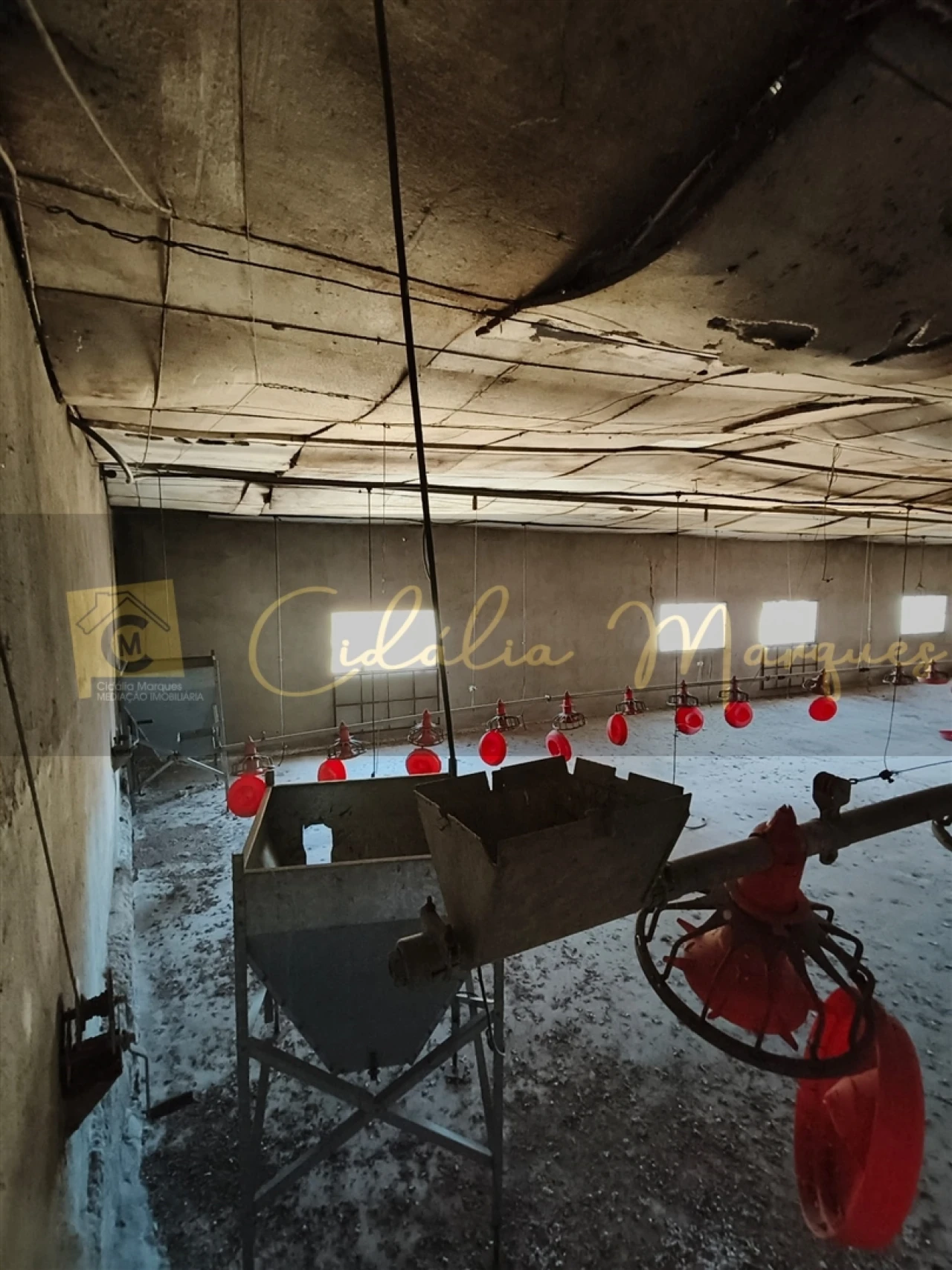 Negócio para Venda em Aguiar da Beira e Coruche Foto 23