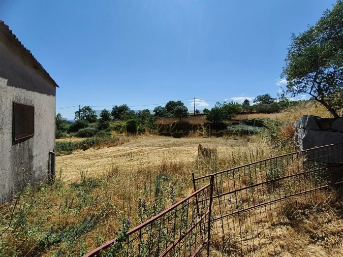 Negócio para Venda em Aguiar da Beira e Coruche Foto 16