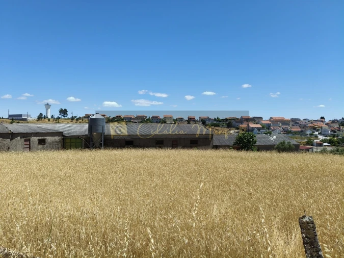 Negócio para Venda em Aguiar da Beira e Coruche Foto 1