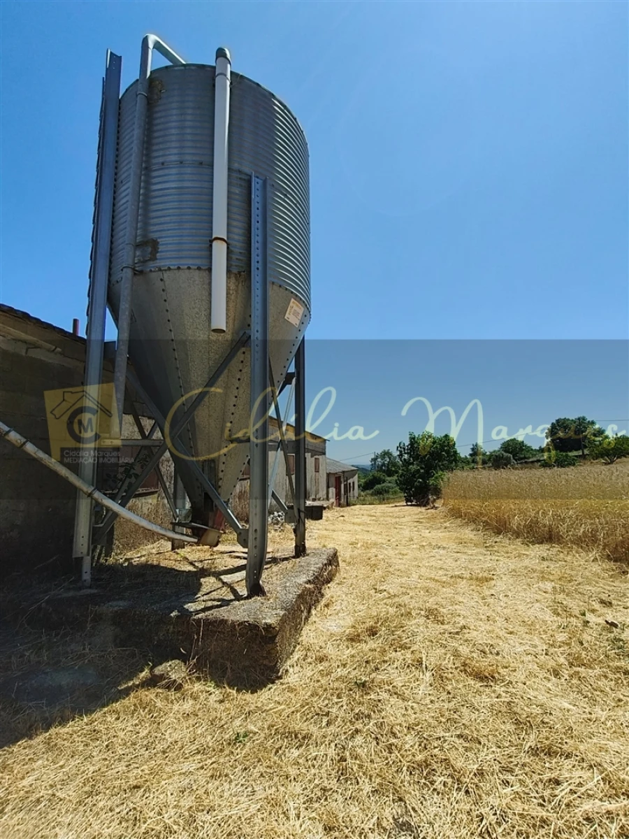 Negócio para Venda em Aguiar da Beira e Coruche Foto 11