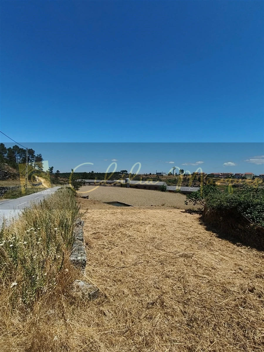 Negócio para Venda em Aguiar da Beira e Coruche Foto 4