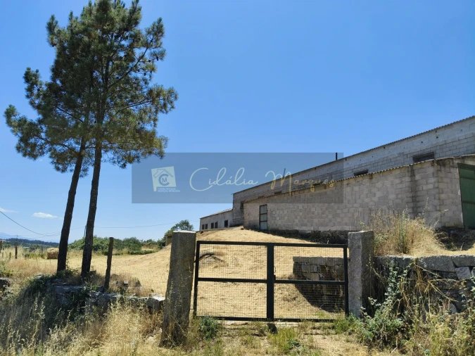 Negócio para Venda em Aguiar da Beira e Coruche Foto 8