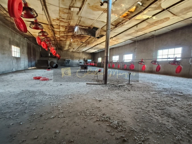 Negócio para Venda em Aguiar da Beira e Coruche Foto 25