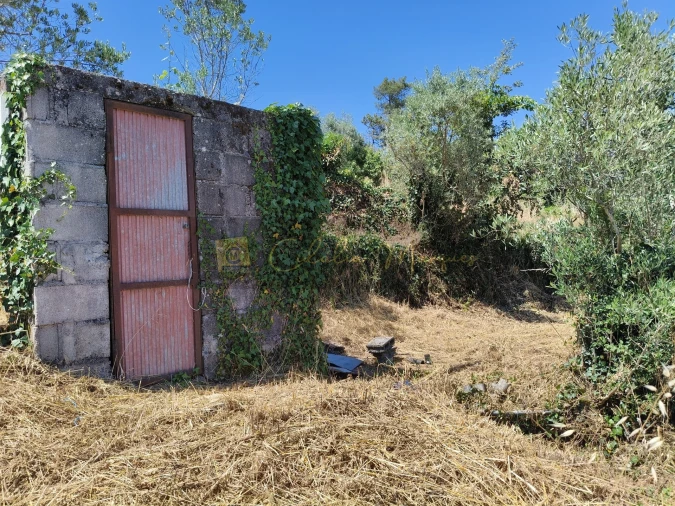 Negócio para Venda em Aguiar da Beira e Coruche Foto 14