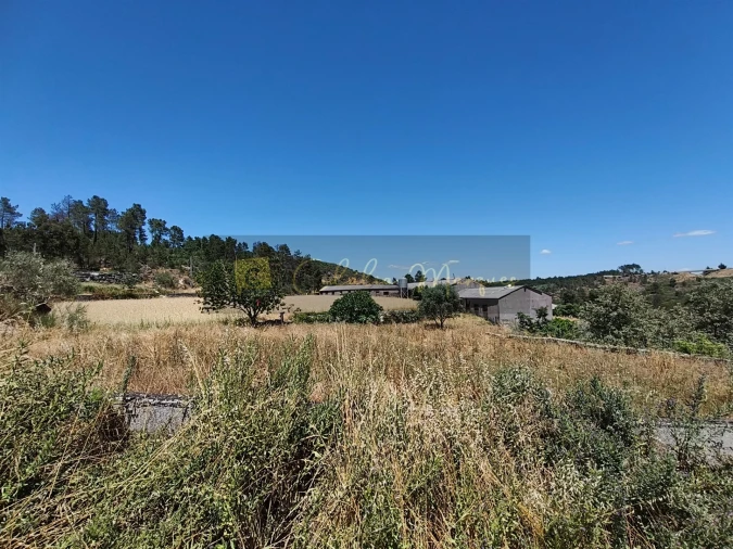 Negócio para Venda em Aguiar da Beira e Coruche Foto 13