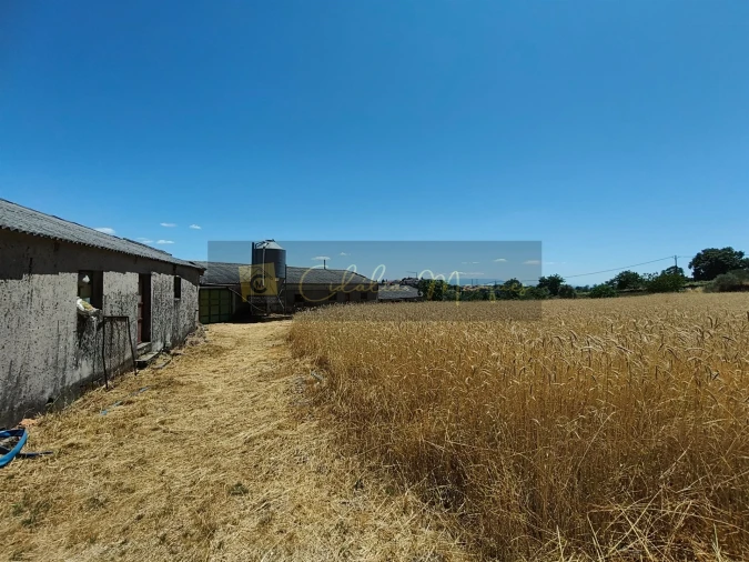 Negócio para Venda em Aguiar da Beira e Coruche Foto 10