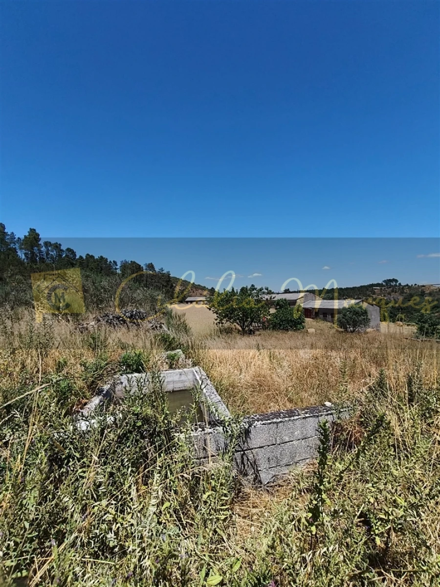Negócio para Venda em Aguiar da Beira e Coruche Foto 12