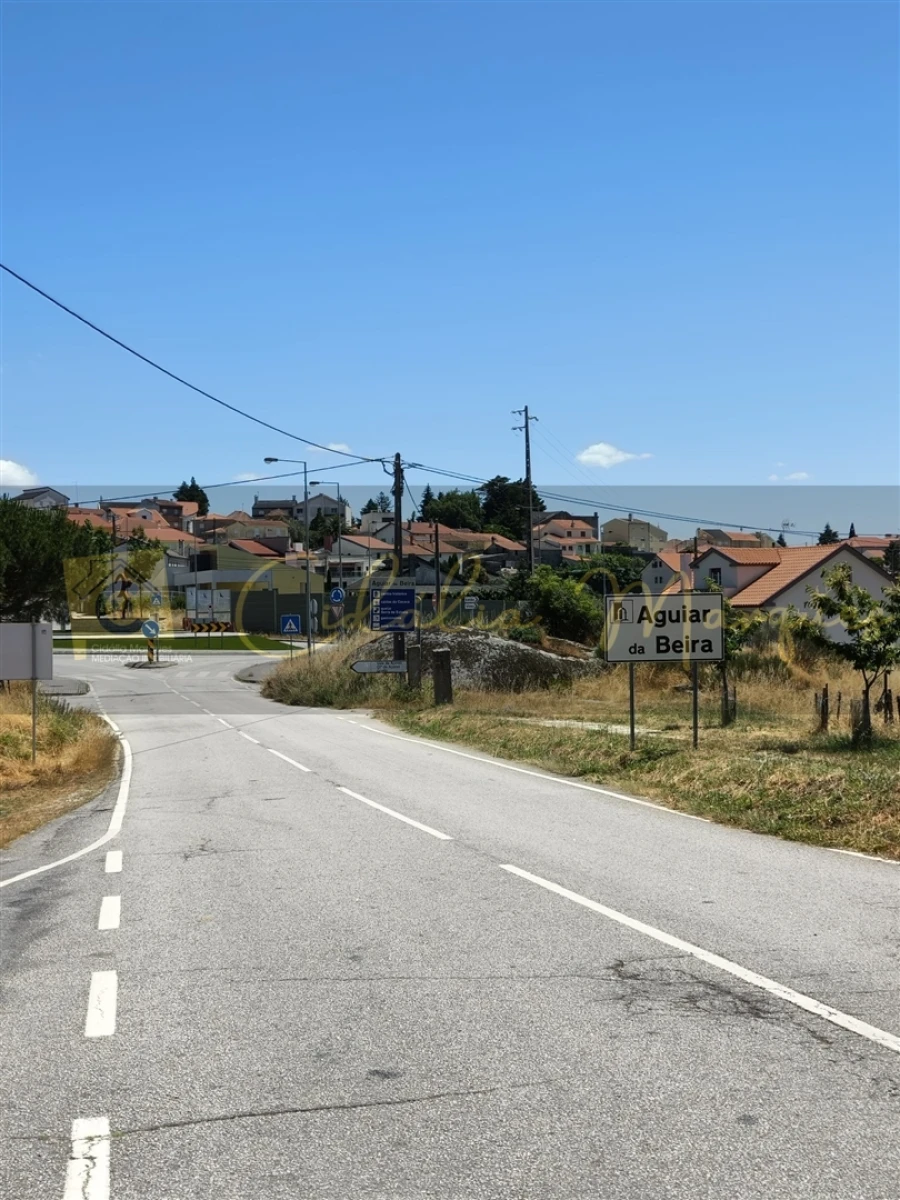 Negócio para Venda em Aguiar da Beira e Coruche Foto 6