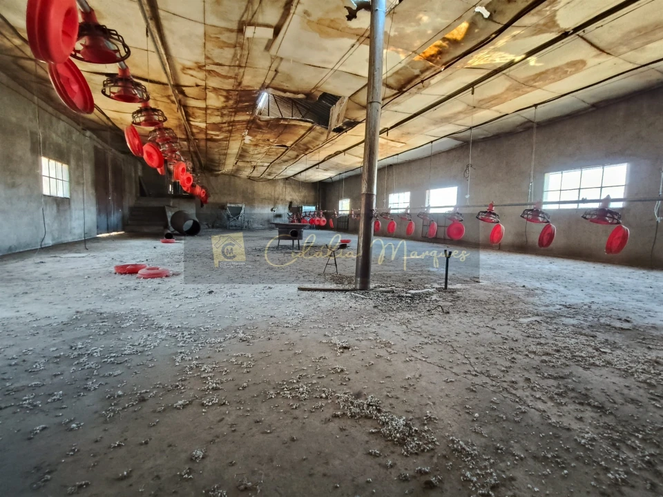 Negócio para Venda em Aguiar da Beira e Coruche Foto 25