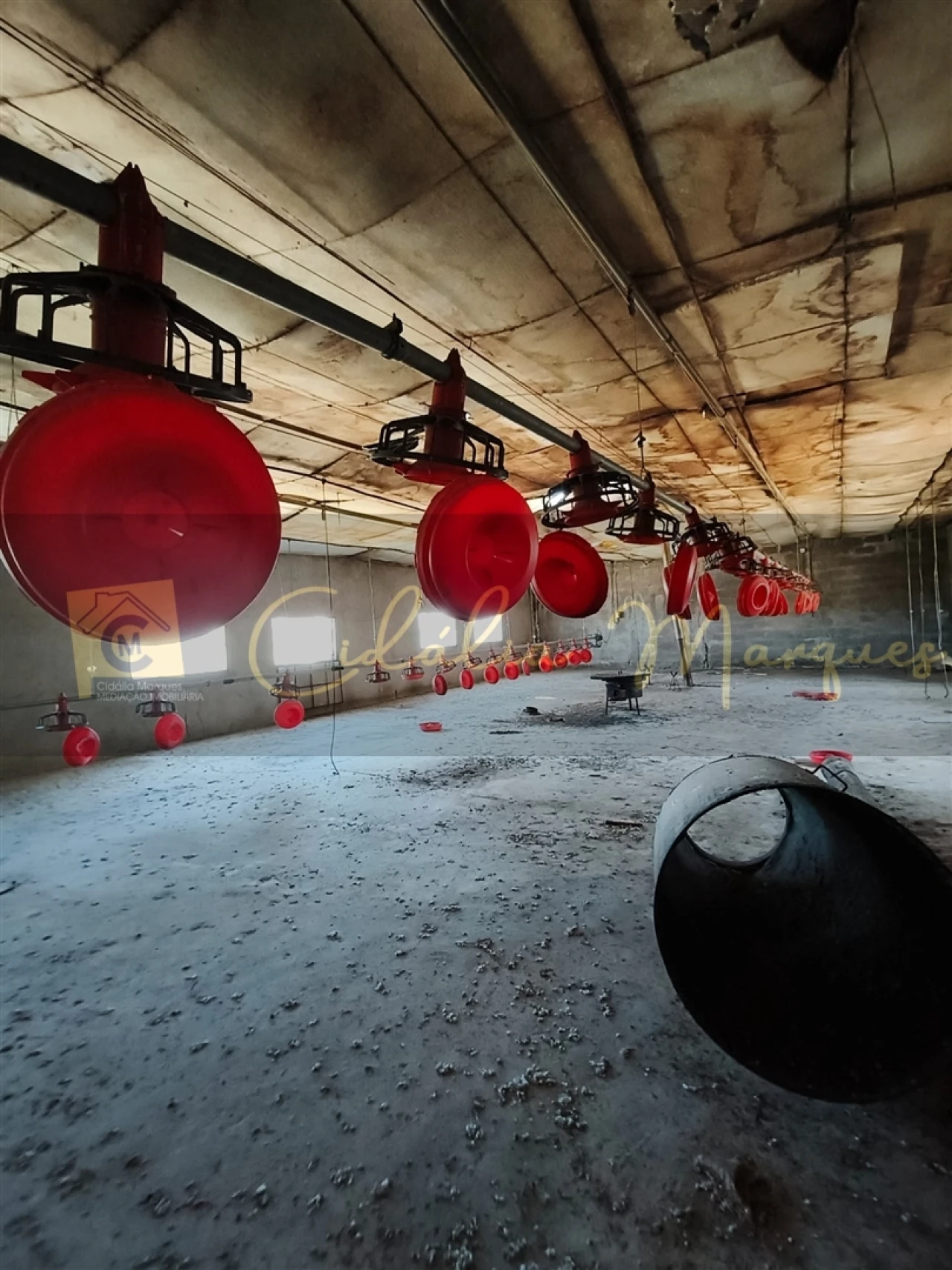 Negócio para Venda em Aguiar da Beira e Coruche Foto 24