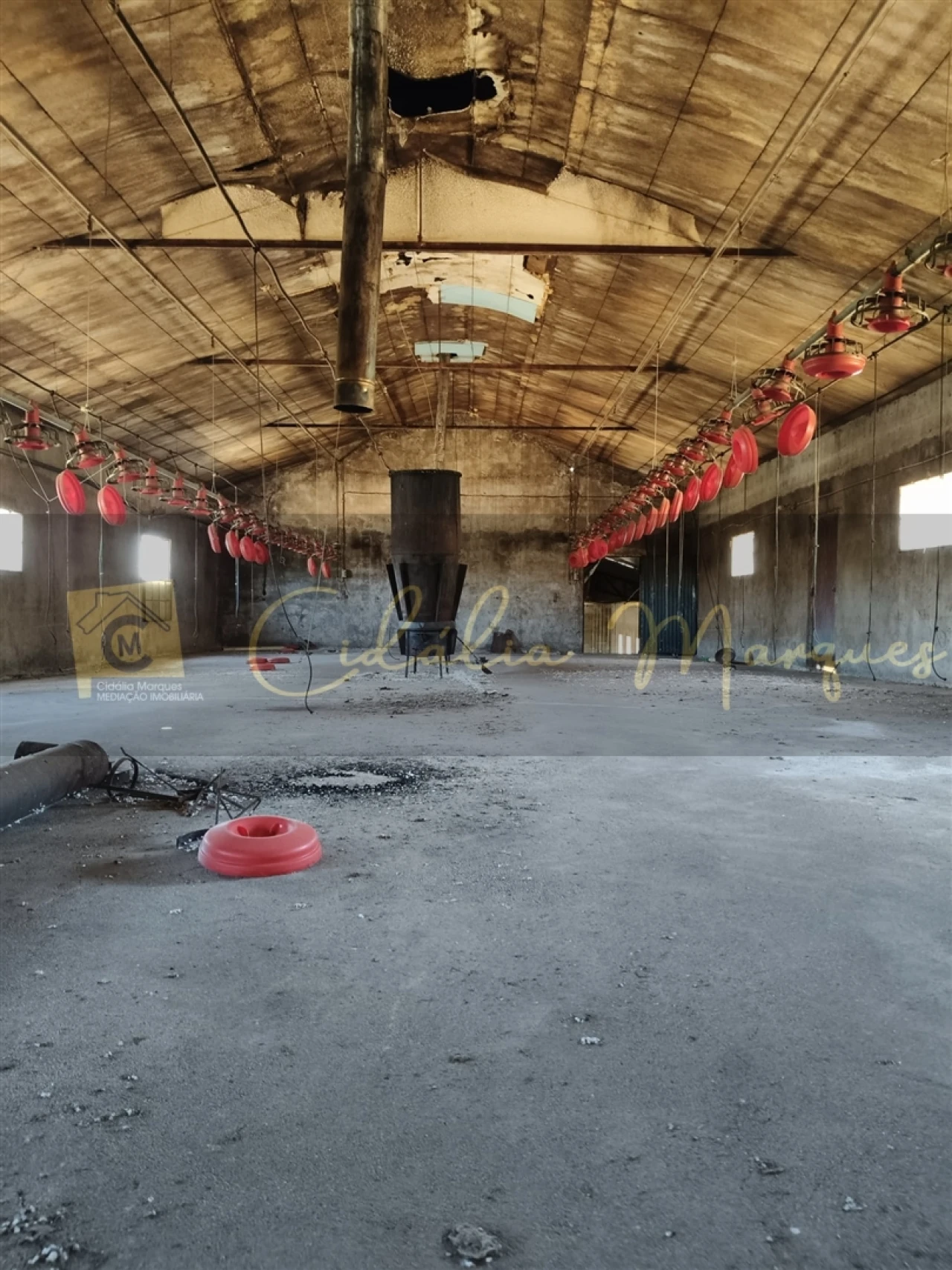 Negócio para Venda em Aguiar da Beira e Coruche Foto 21