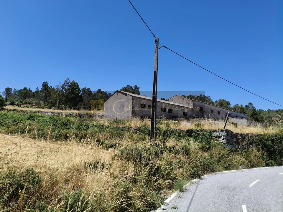Negócio para Venda em Aguiar da Beira e Coruche Foto 7