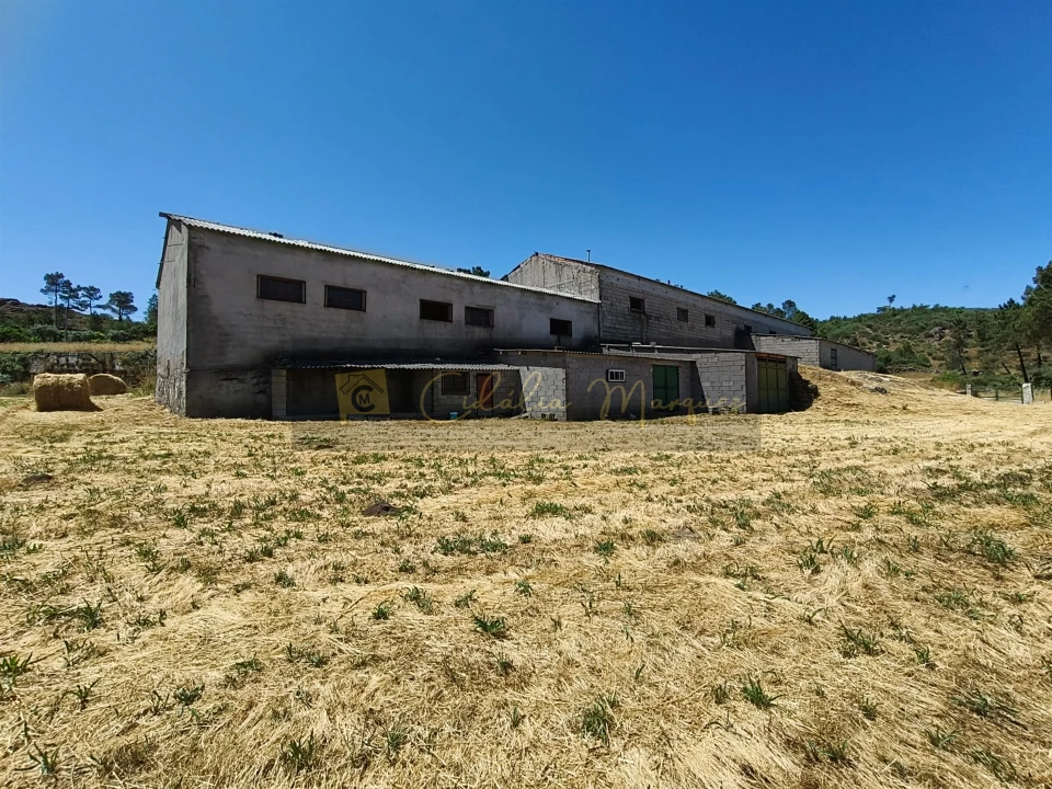 Negócio para Venda em Aguiar da Beira e Coruche Foto 15
