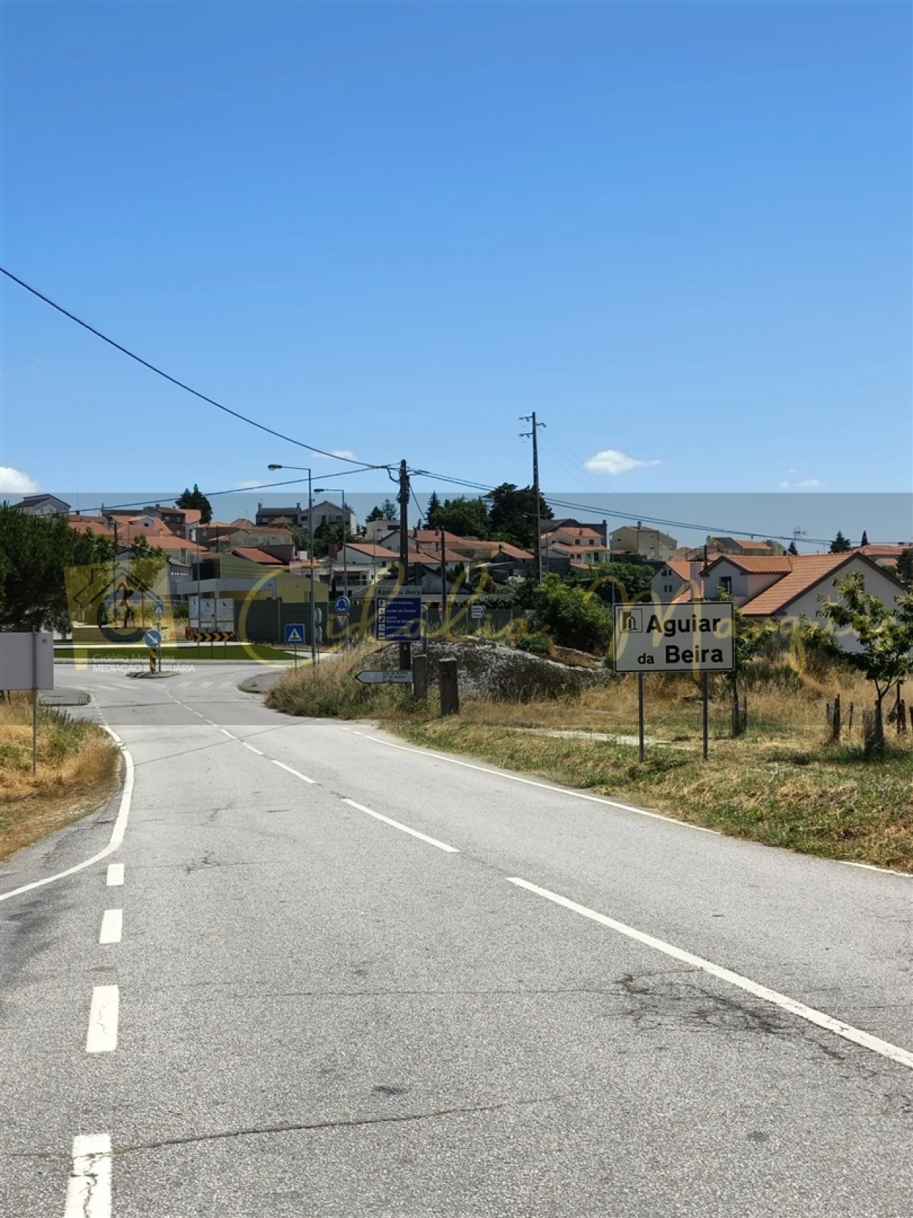 Negócio para Venda em Aguiar da Beira e Coruche Foto 6