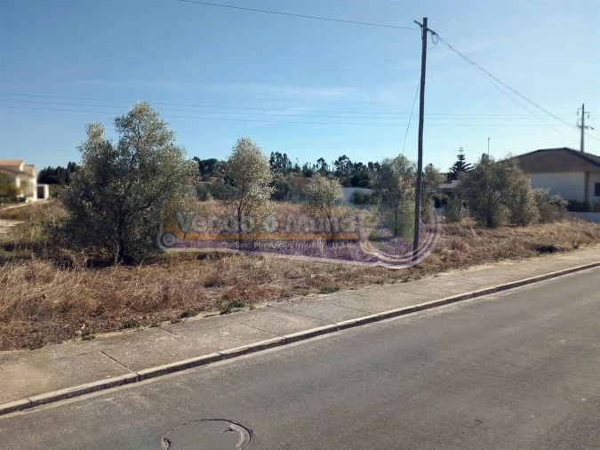 Terreno para Venda em Glória do Ribatejo e Granho Foto 3