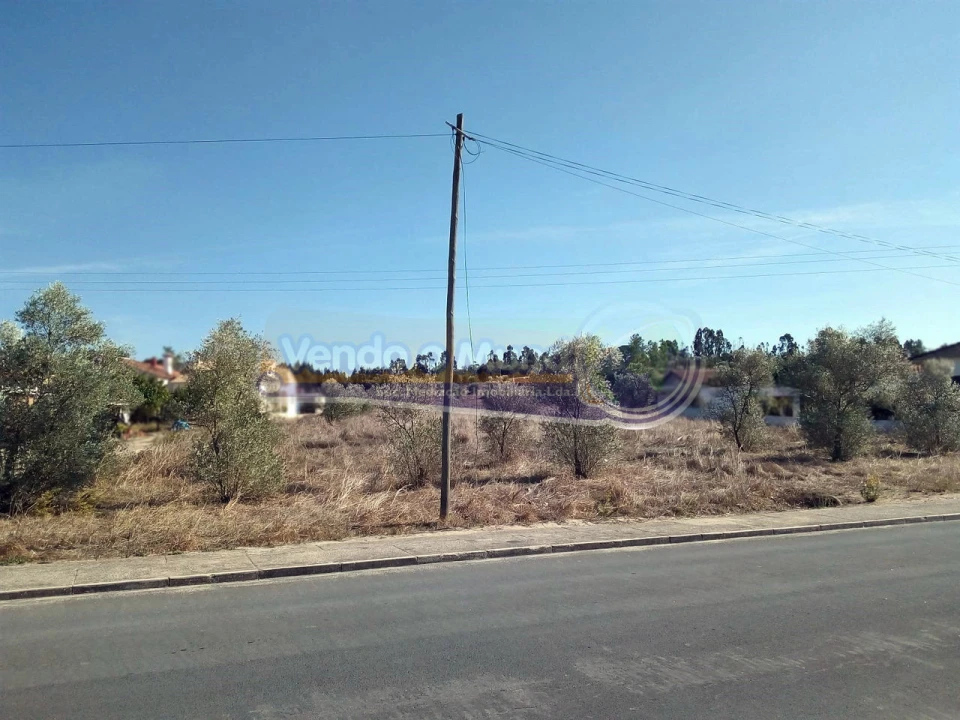 Terreno para Venda em Glória do Ribatejo e Granho Foto 4