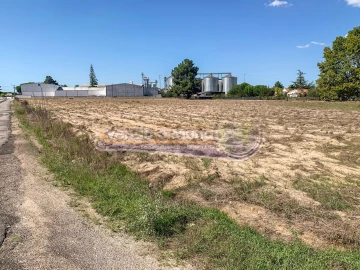 Terreno para Venda em Salvaterra de Magos e Foros de Salvaterra