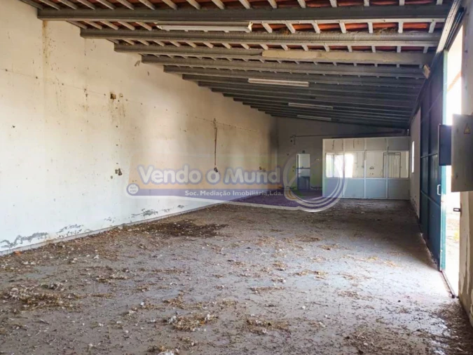 Armazém para Arrendamento em Marinhais Foto 3