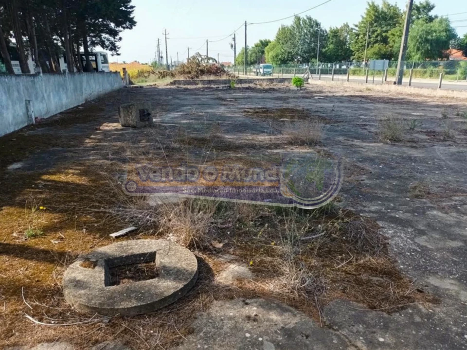 Armazém para Arrendamento em Marinhais Foto 8