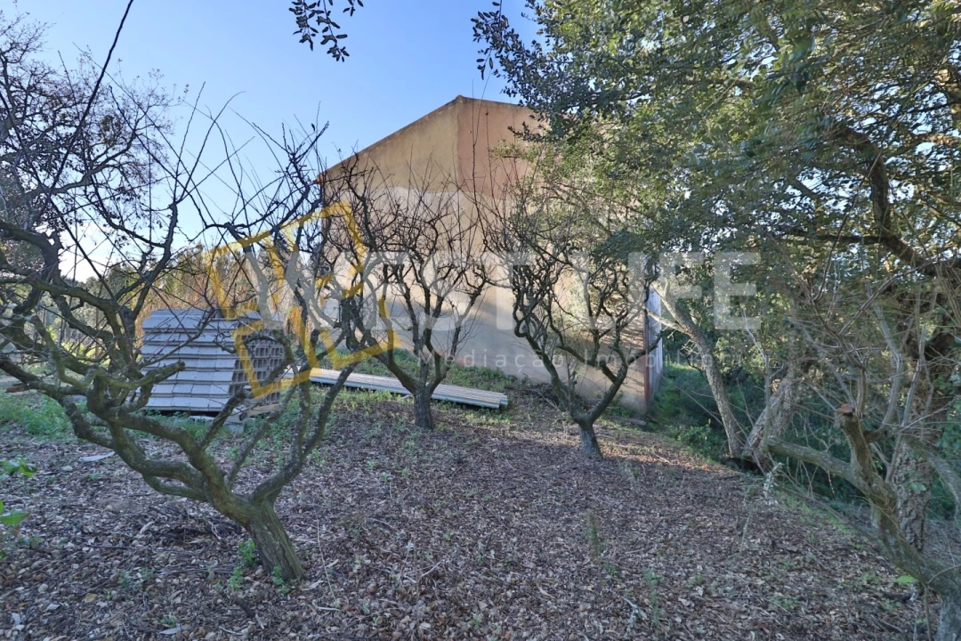 Armazém para Venda em Ericeira Foto 6