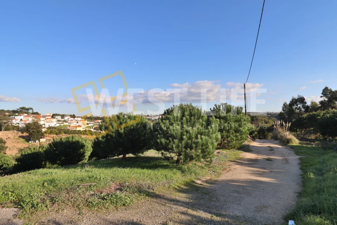 Armazém para Venda em Ericeira Foto 8