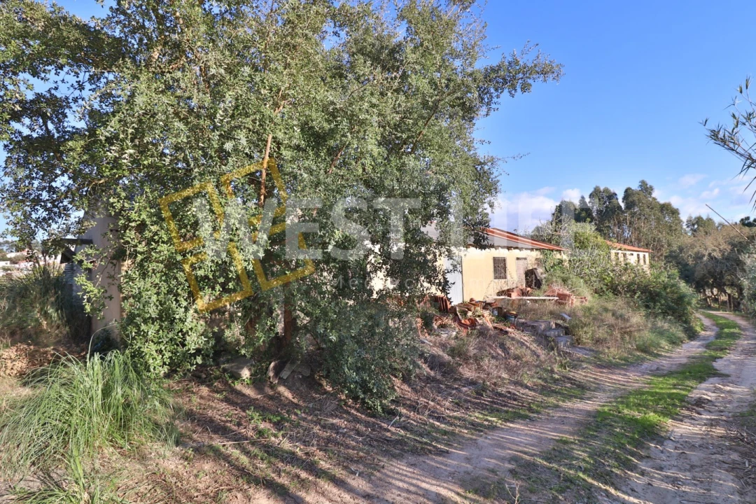 Armazém para Venda em Ericeira Foto 4