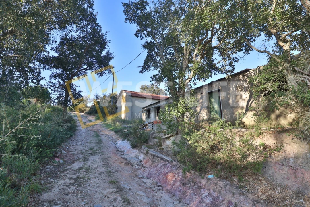 Armazém para Venda em Ericeira Foto 9