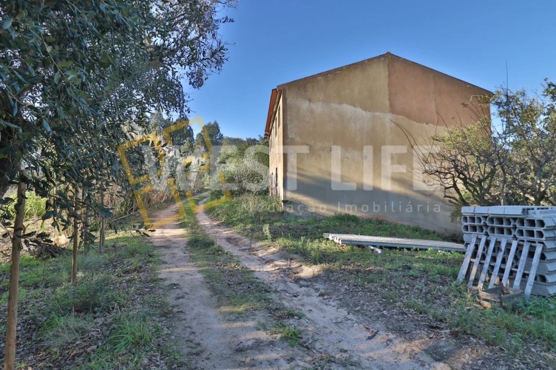 Armazém para Venda em Ericeira Foto 12