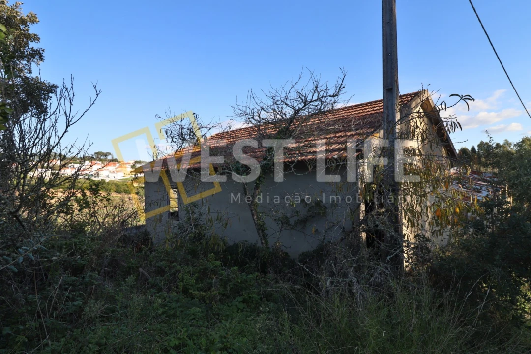 Armazém para Venda em Ericeira Foto 14