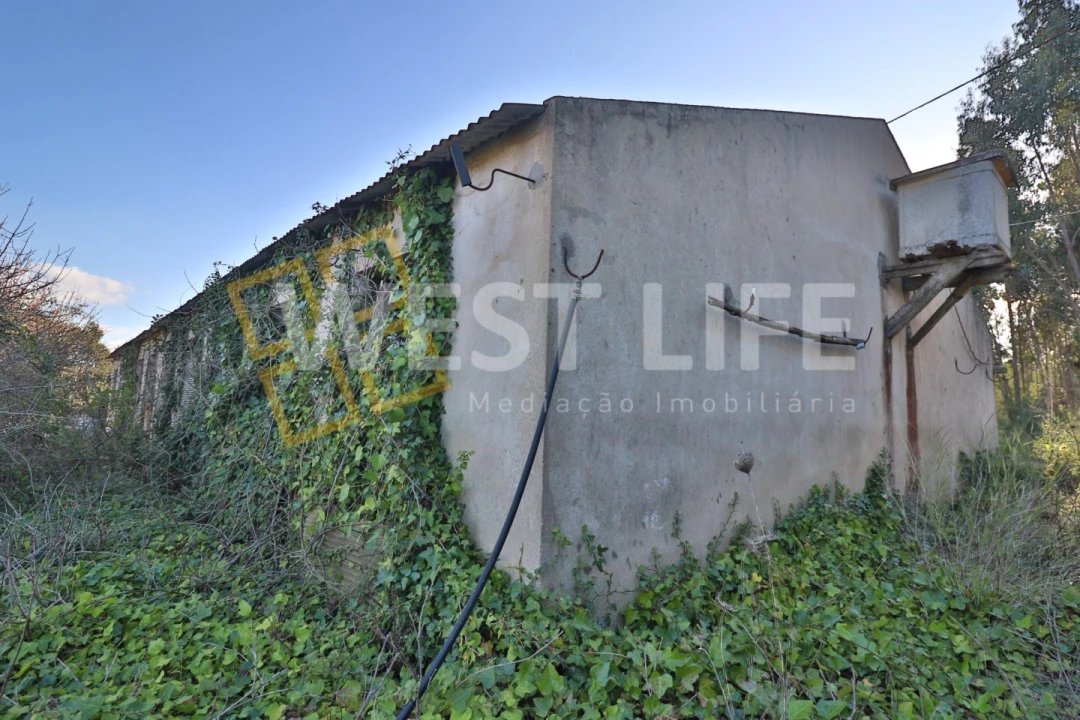 Armazém para Venda em Ericeira Foto 15