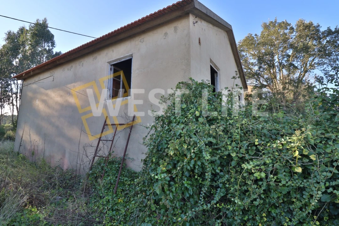 Armazém para Venda em Ericeira Foto 16