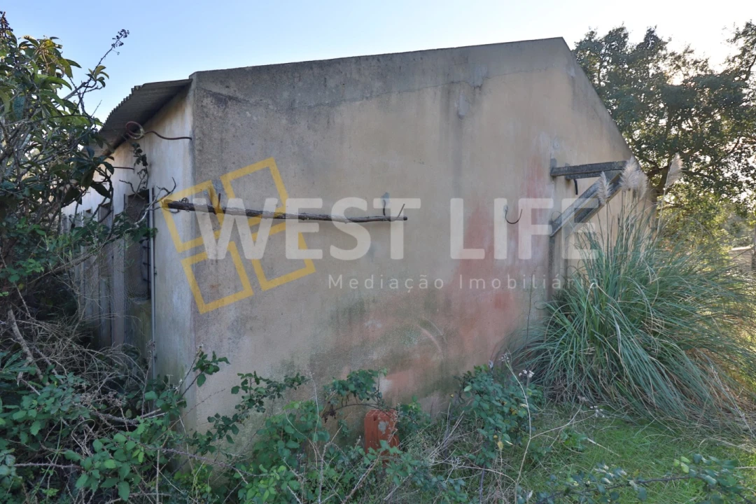 Armazém para Venda em Ericeira Foto 21