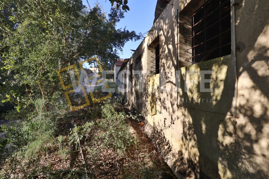 Armazém para Venda em Ericeira Foto 23