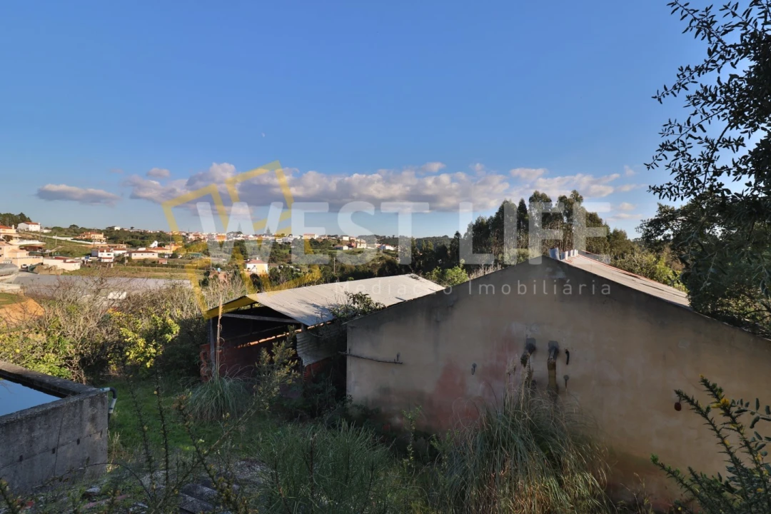 Armazém para Venda em Ericeira Foto 29