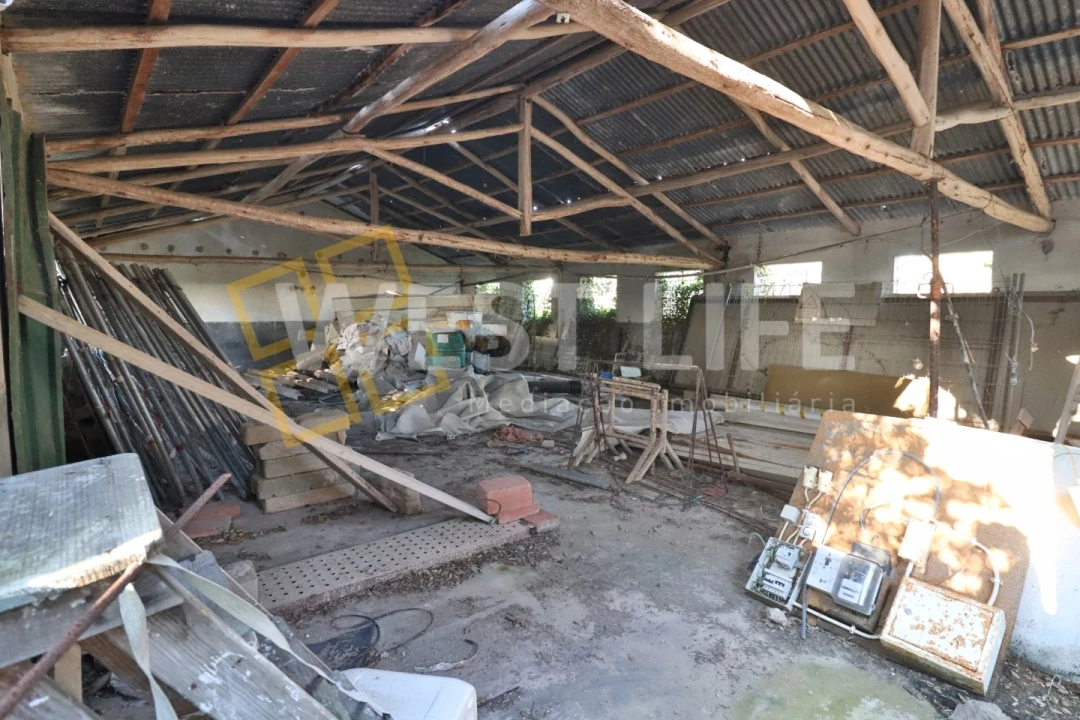 Armazém para Venda em Ericeira Foto 32