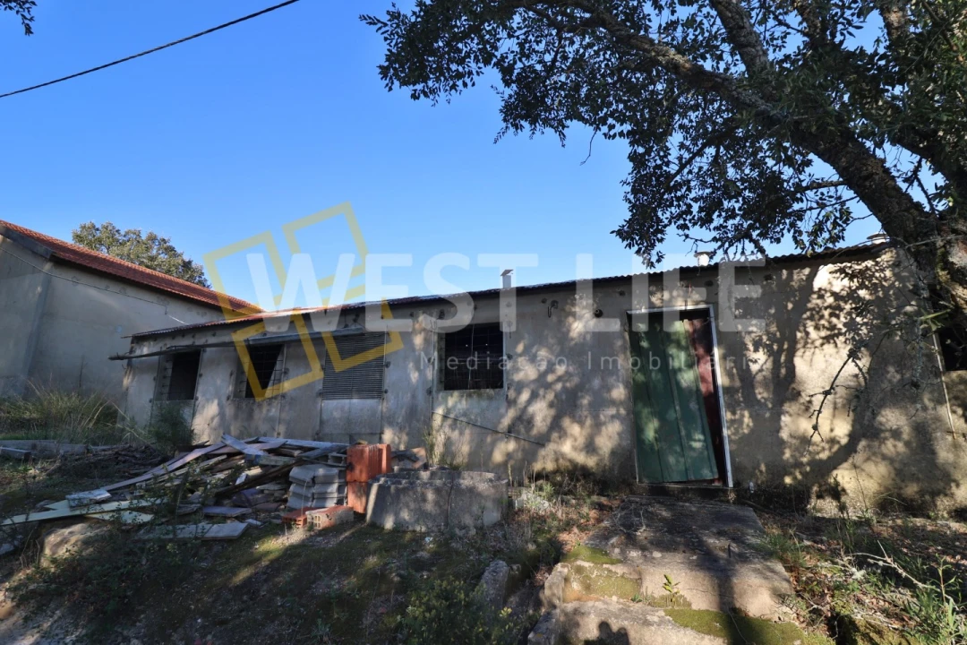 Armazém para Venda em Ericeira Foto 33