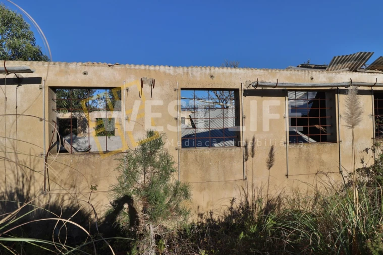 Armazém para Venda em Ericeira Foto 26