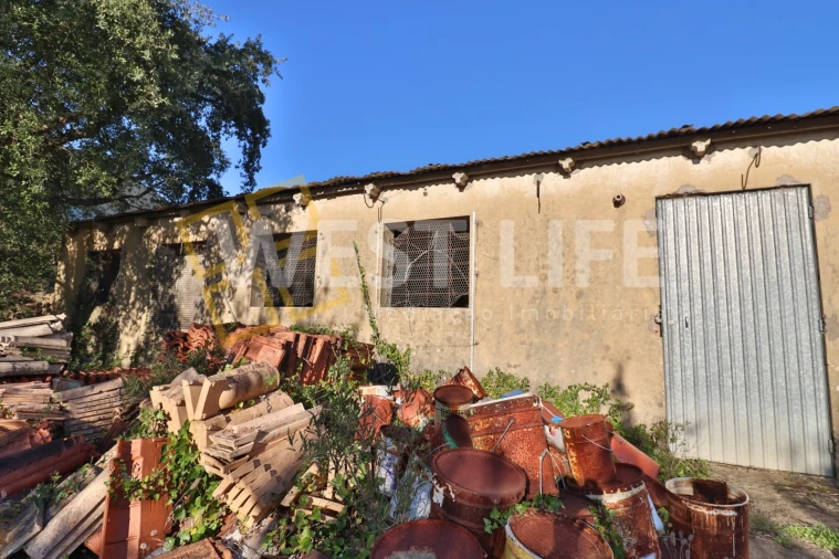 Armazém para Venda em Ericeira Foto 36