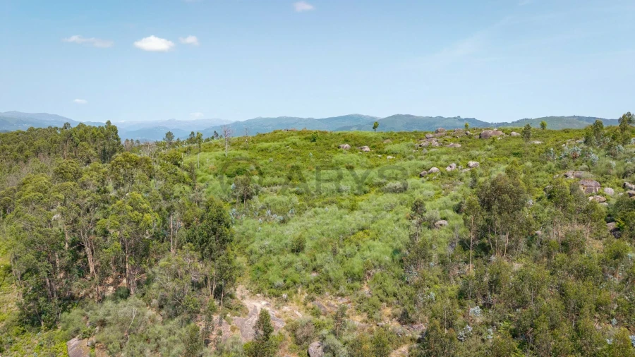 Terreno para Venda em Sande, Vilarinho, Barros e Gomide Foto 6