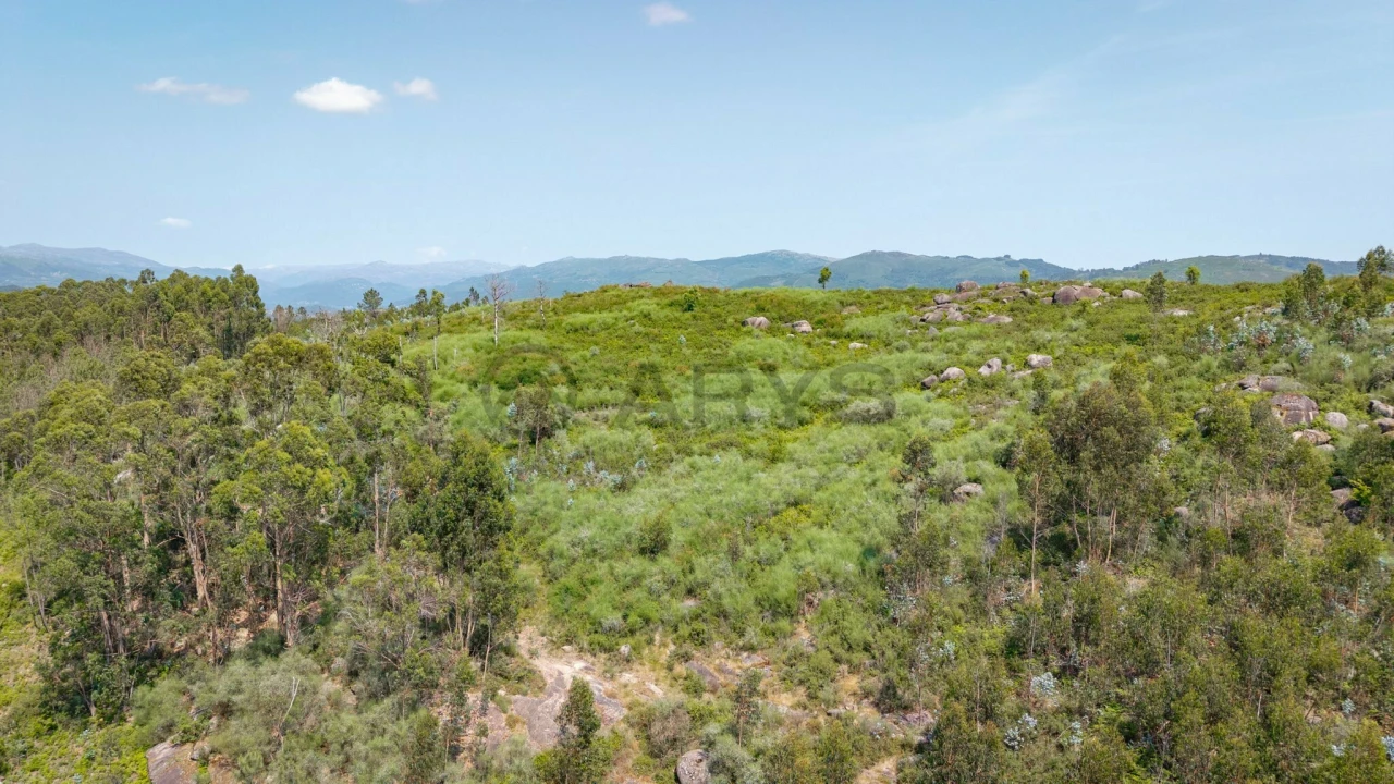 Terreno para Venda em Sande, Vilarinho, Barros e Gomide Foto 6