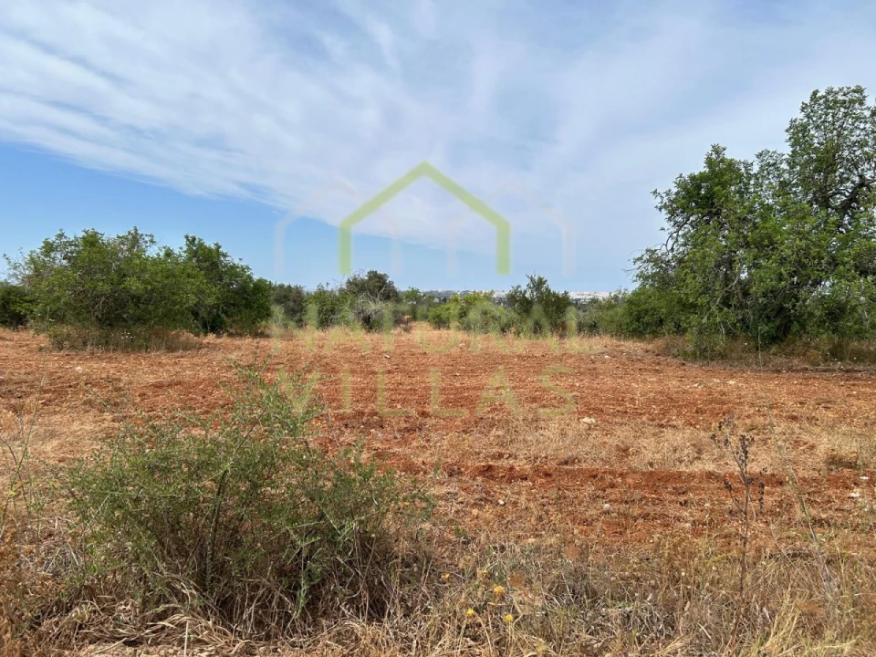 Terreno Agricola ou Rústico para Venda em Conceição e Estoi Foto 1