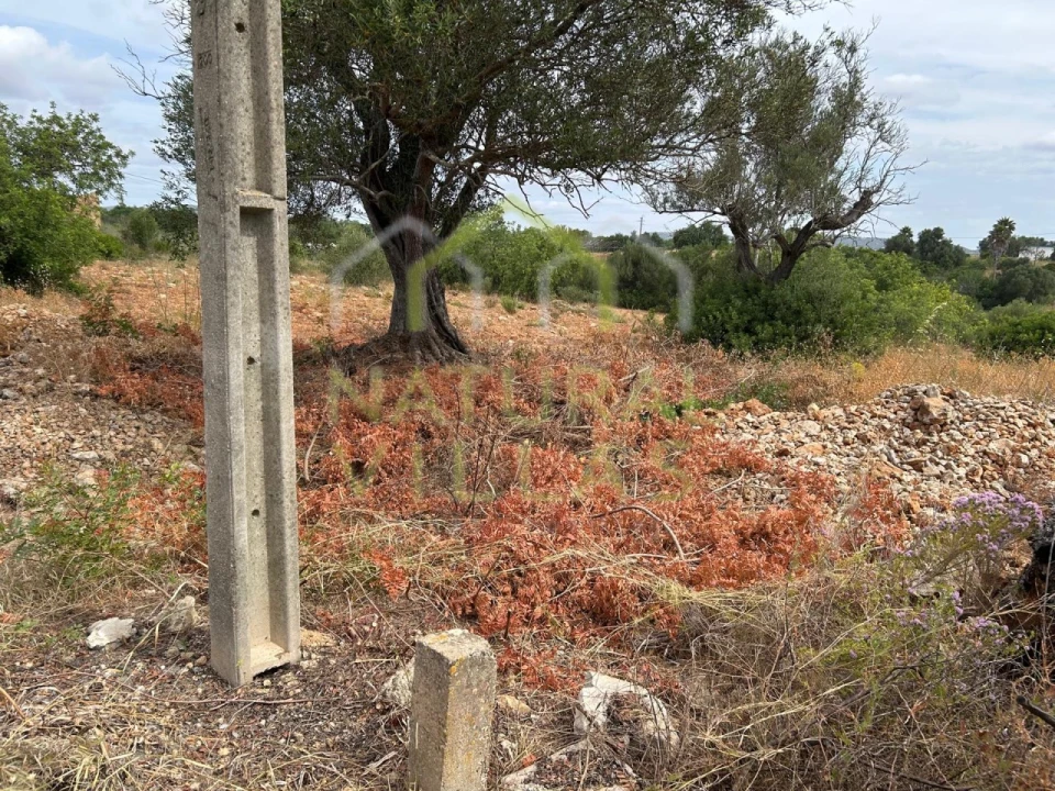 Terreno Agricola ou Rústico para Venda em Conceição e Estoi Foto 2