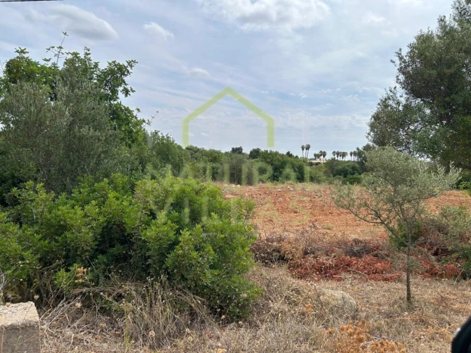 Terreno Agricola ou Rústico para Venda em Conceição e Estoi Foto 3