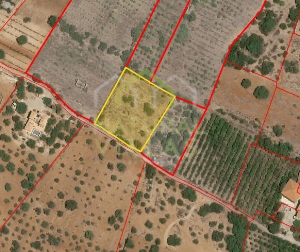 Terreno Agricola ou Rústico para Venda em Conceição e Estoi Foto 4